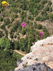 נוף אווירה אוירה