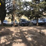 מעלה צרעה כינוס התכנסות ג'יפים