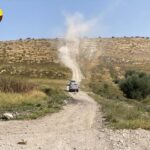 צרעה אתגרי אבק