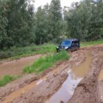 בוץ שלוליות מוסמך שטח 11 בוץ קוליס קוליסים מעקף