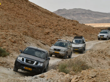 שיירת רכבים ניסאן נבארה