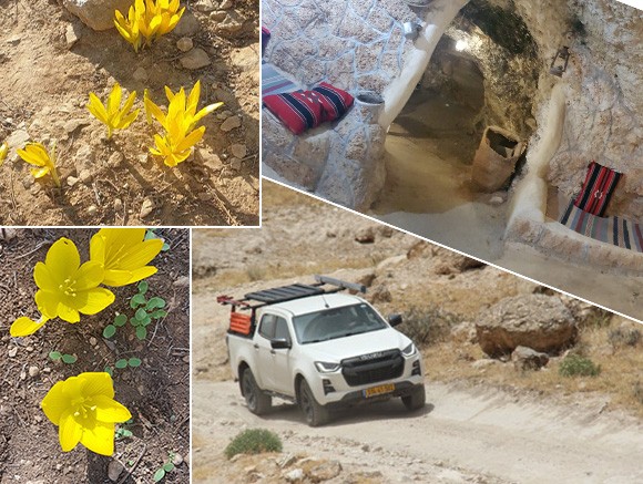 יתיר חלמוניות פרופיל
