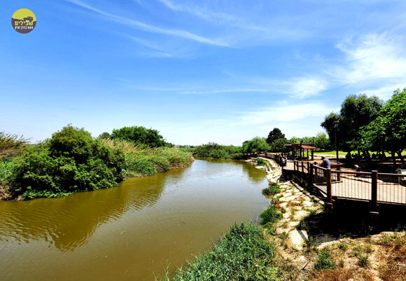 נחל אלכסנדר