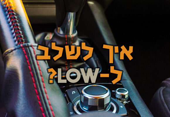 תמונה ראשית - שילוב LOW